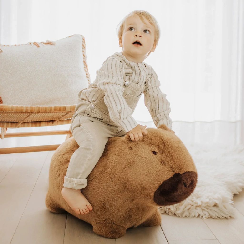 Wild & Soft- Soft Bouncy Capybara