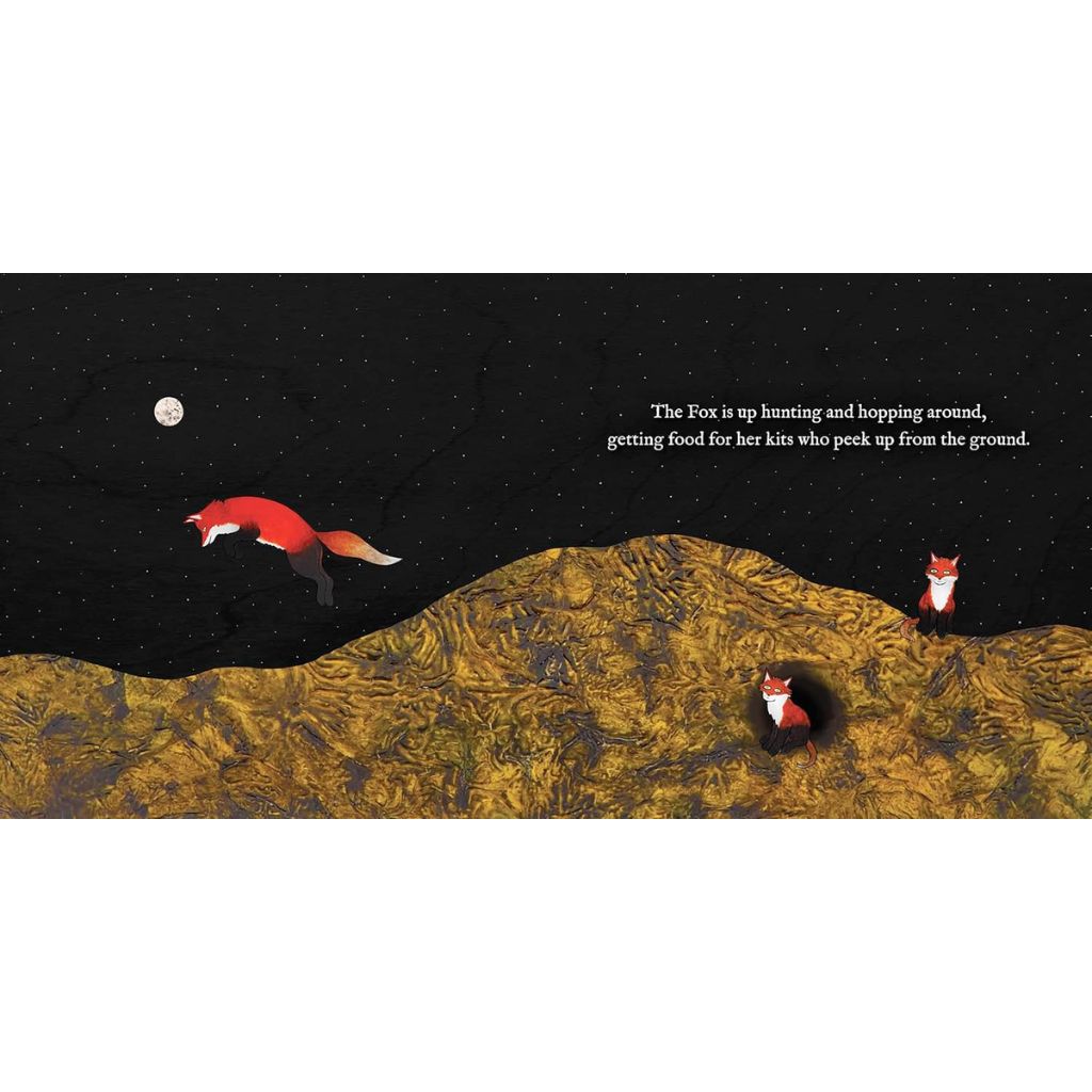 Nocturnal Animals By Ashley Anne Clark