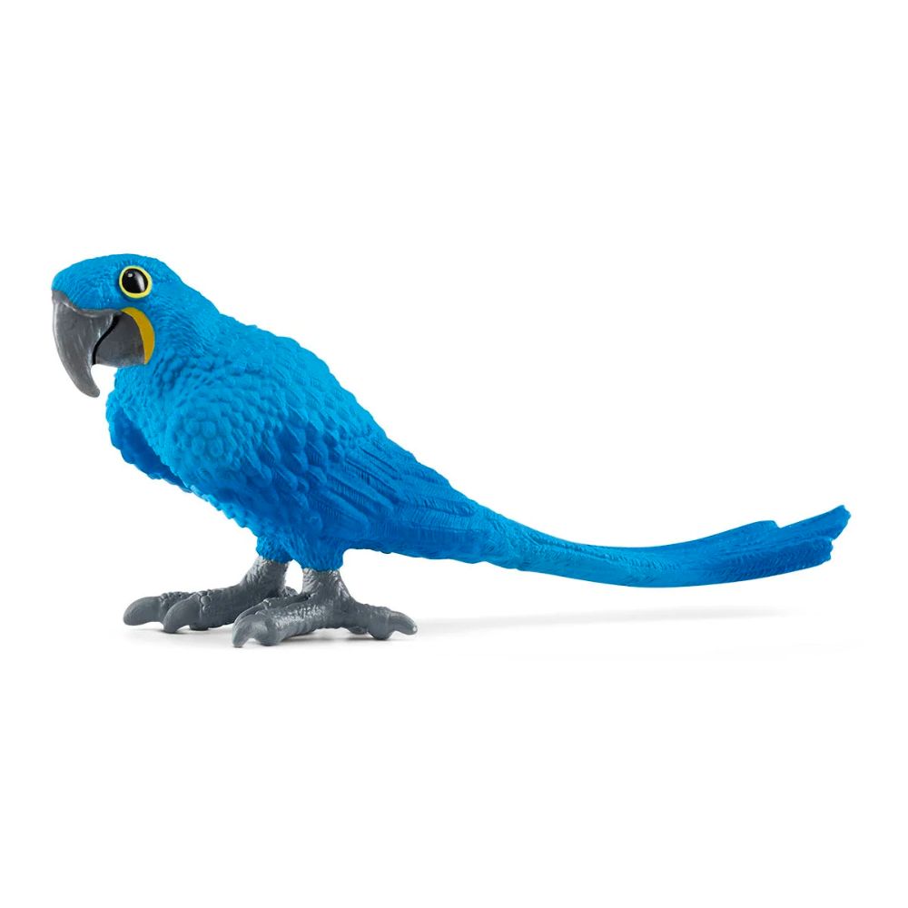 Scheich Hyacinth Macaw