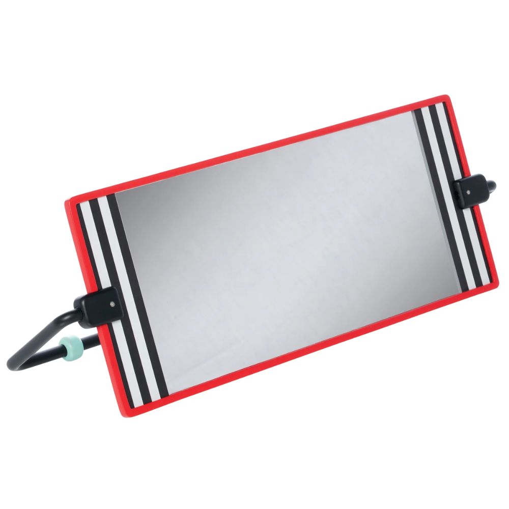 Manhattan Toy Wimmer Discovery Mirror