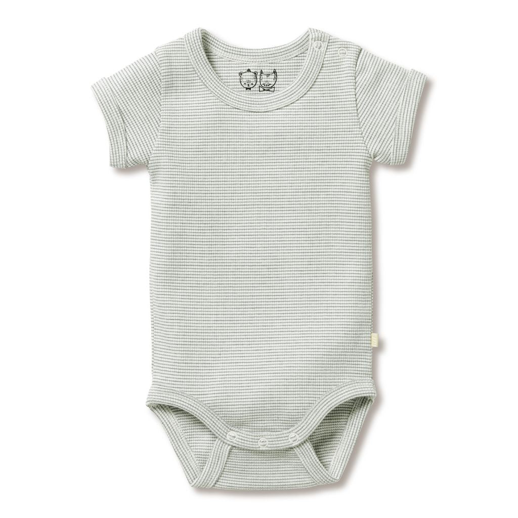 Wilson & Frenchy Organic Stripe Rib Bodysuit