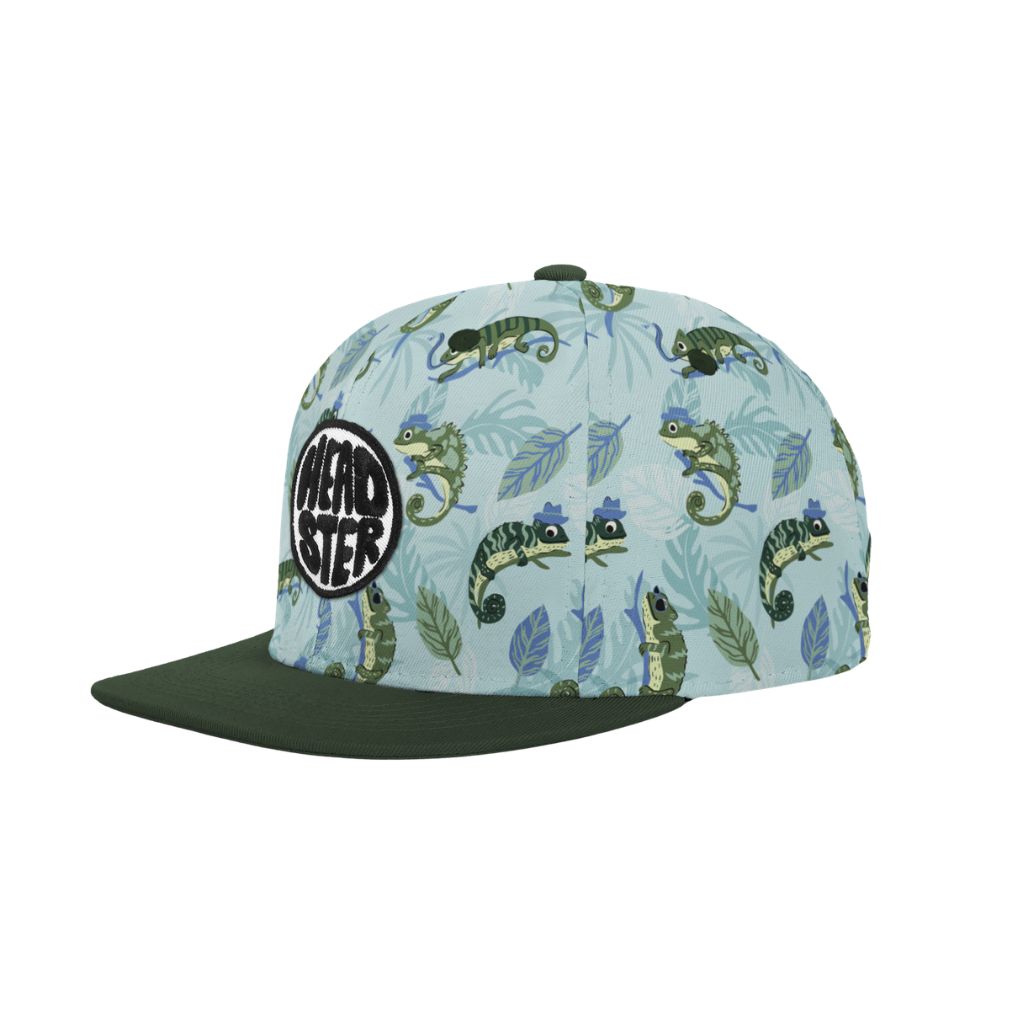 Headster Curved Brim Snapback