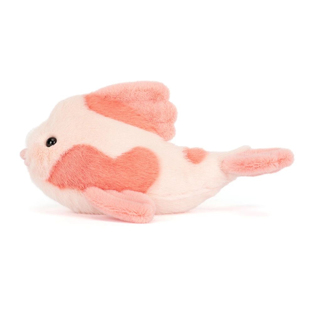 Fancy Carp