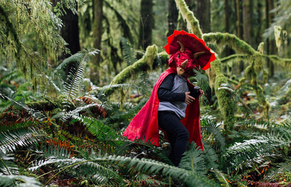 Triceratops Hooded Cape - Red, 4-5Y