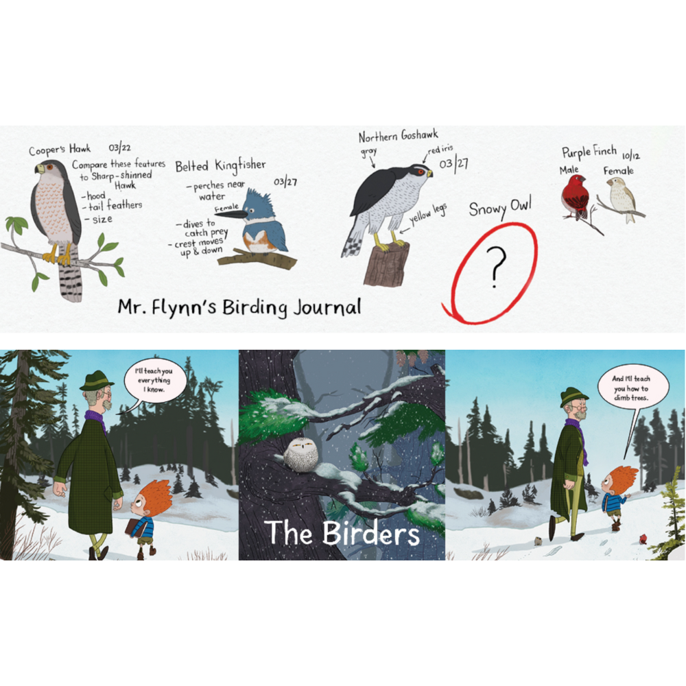 The Birders by Rob Albanese