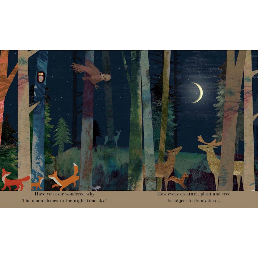 Moon HC by Britta Teckentrup