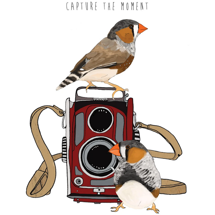 Capture the Moment Card