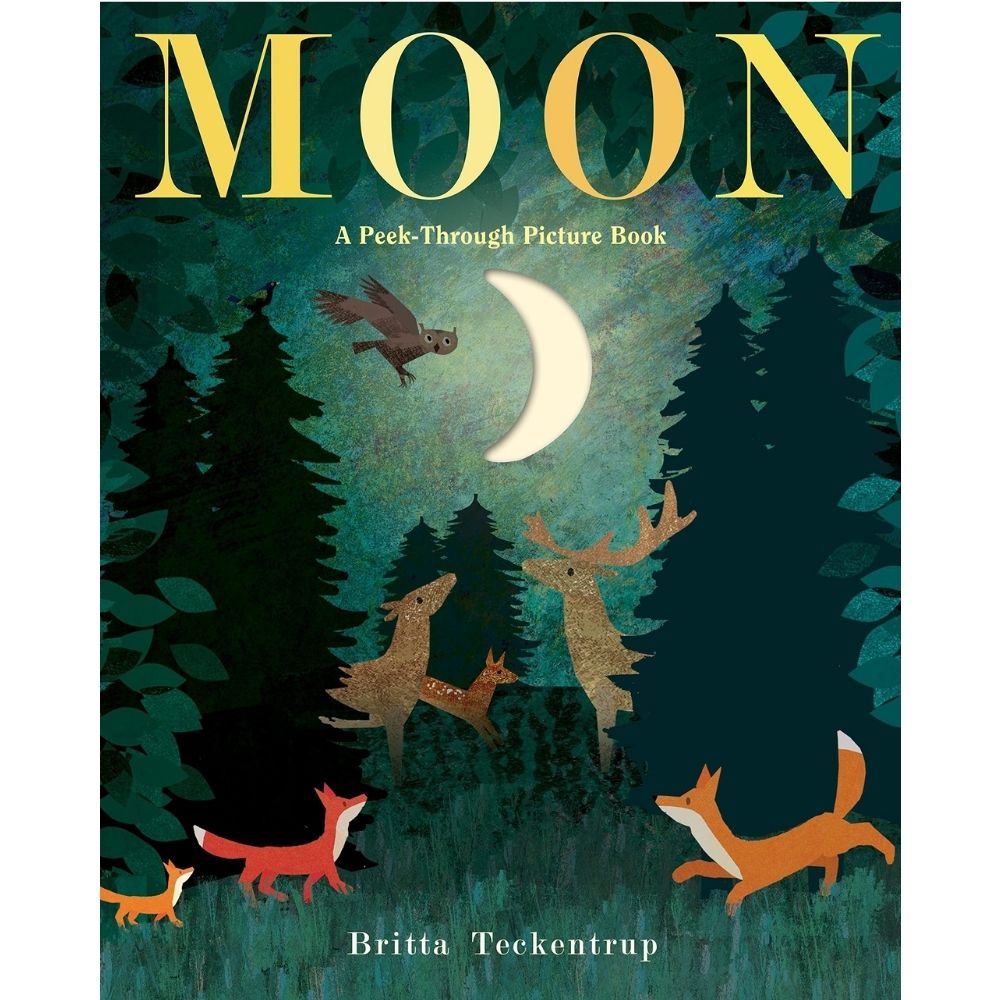Moon HC by Britta Teckentrup