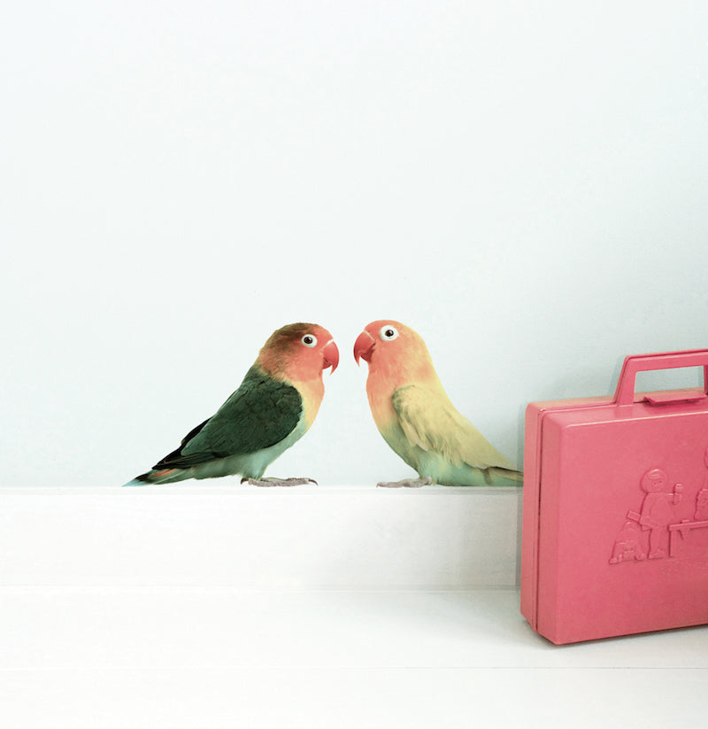 Wall Sticker - Safari Friends Lovebirds, 22 x 17 cm