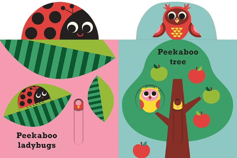 Peekaboo Bear BB by Camilla Reid