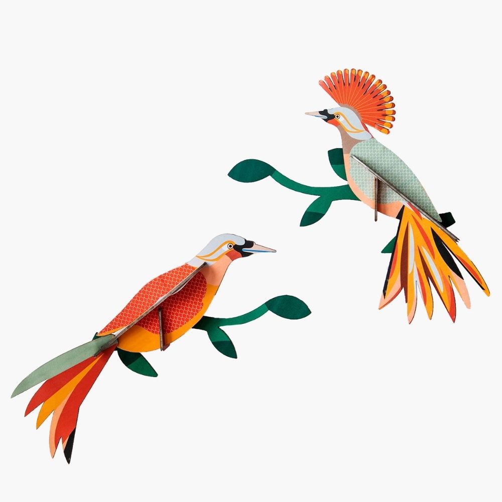 DIY 3D Wall Decoration- Paradise Bird Obi