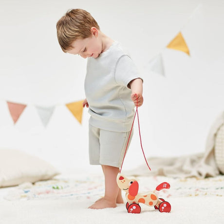 Best Toys for 1-Year-Olds: Complete Developmental Gift Guide
