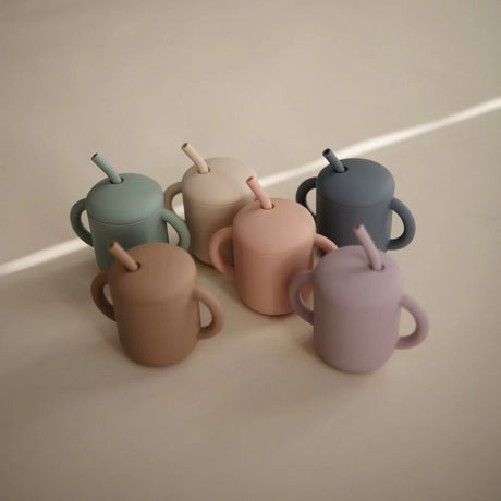 Sippy Cups & Bottles