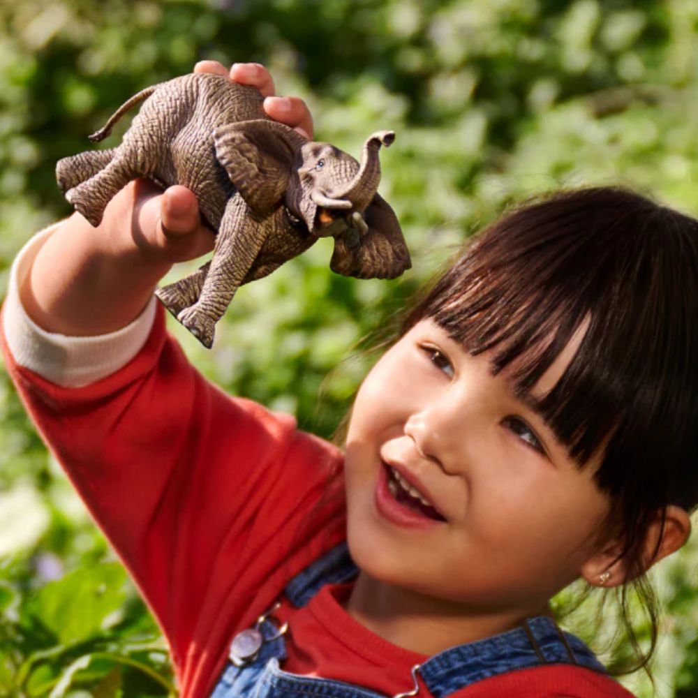 Schleich