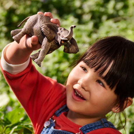 Schleich