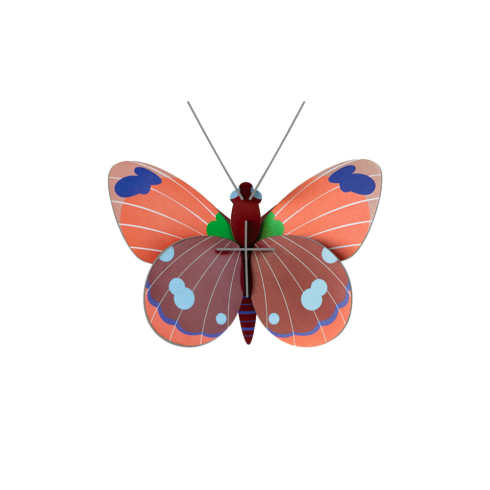 DIY 3D Wall Decoration - Delias Butterfly, small