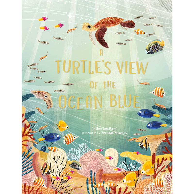 A Turtle's View of the Ocean Blue