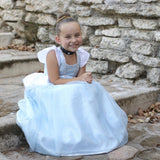 Deluxe Cinderella Gown, 3-4Y