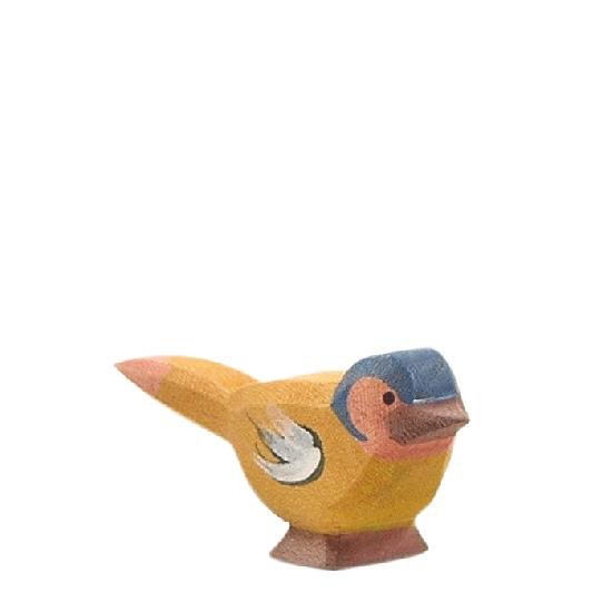 Ostheimer Chaffinch