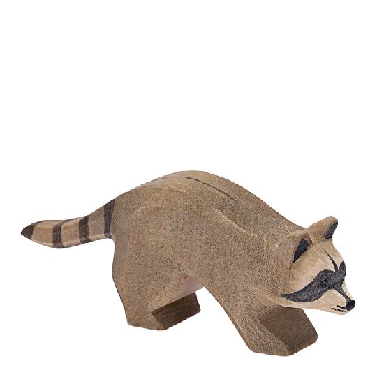 Ostheimer Raccoon Running