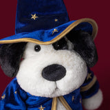 Rufferty Puppy Wizard Outfit