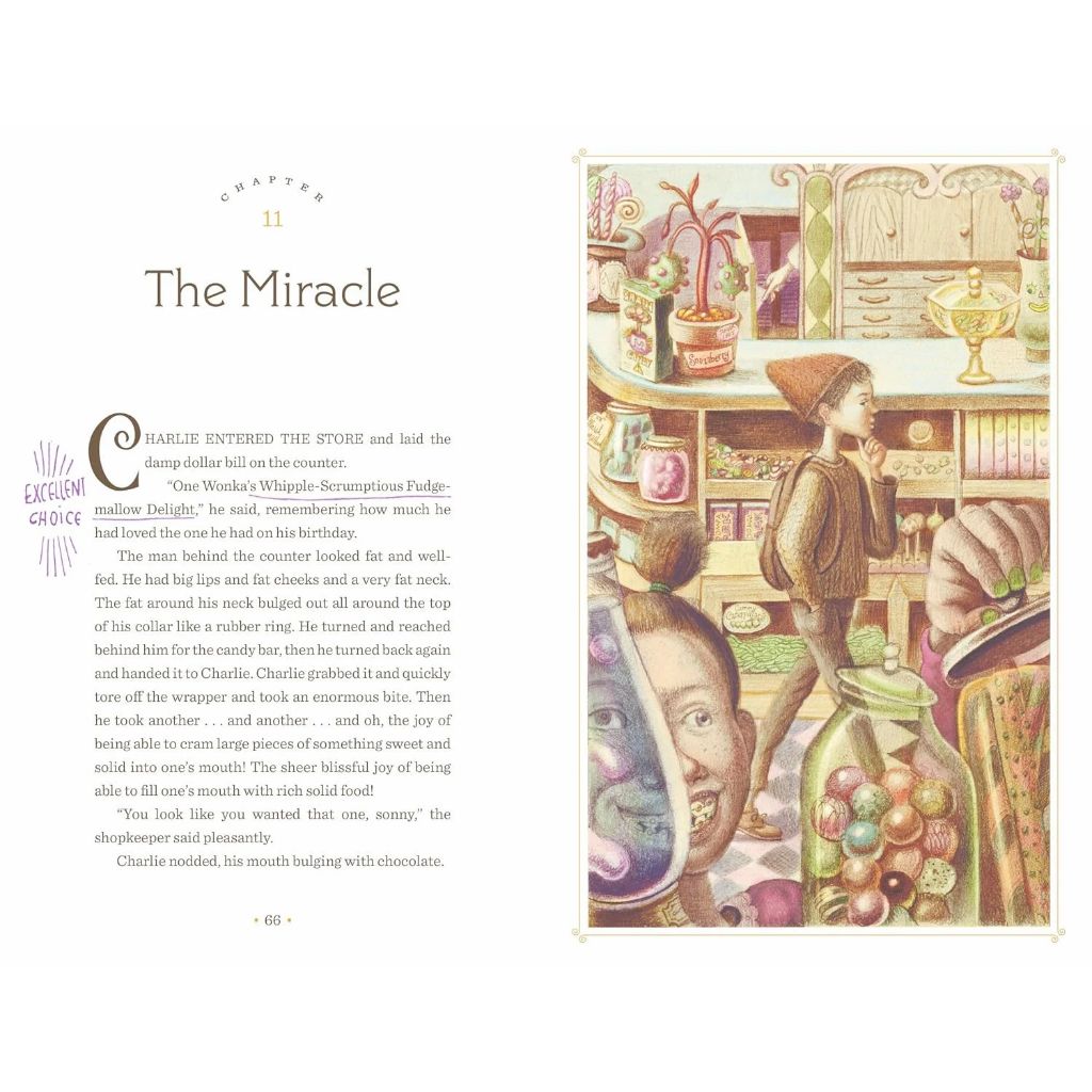 Charlie and the Chocolate Factory BC by Roald Dahl