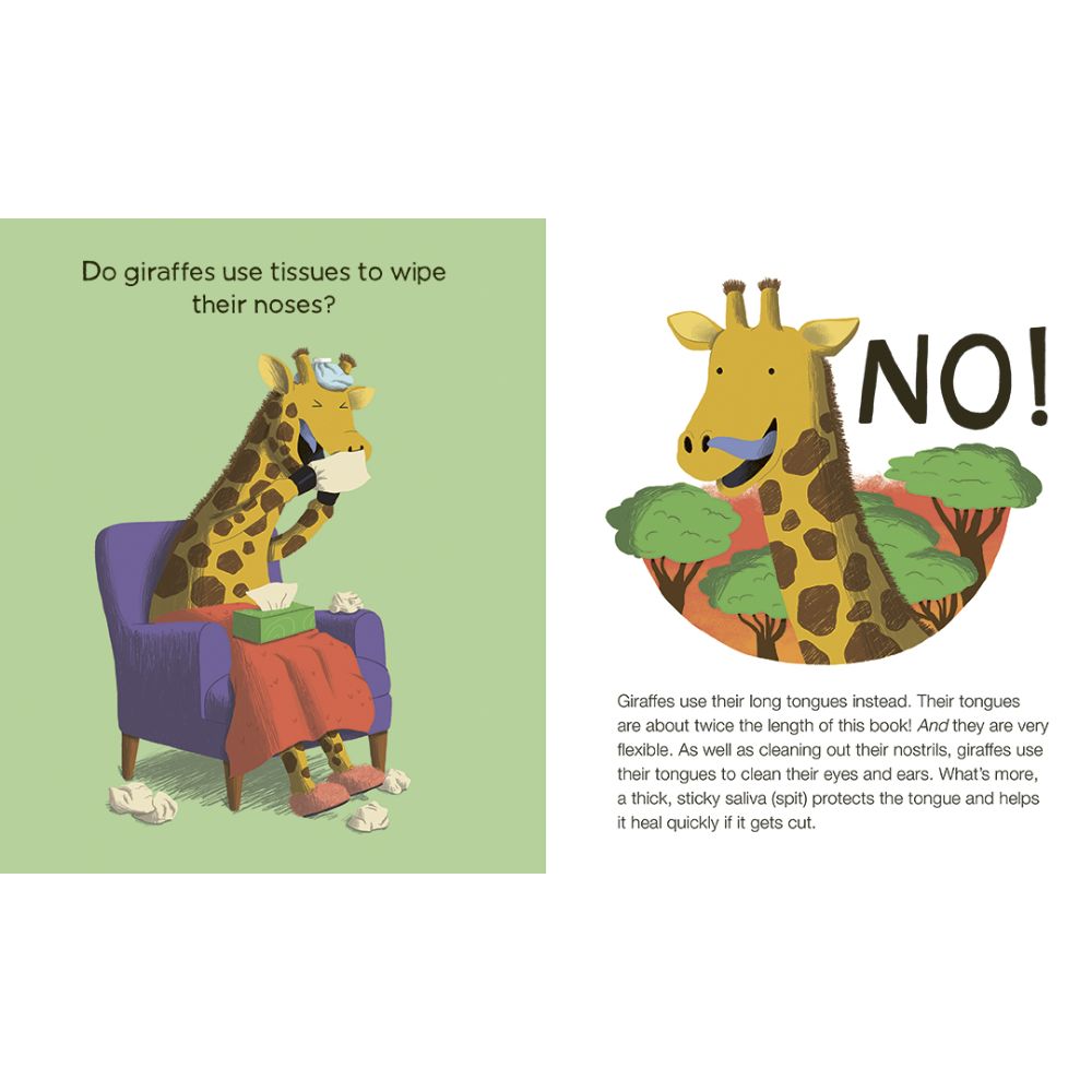 Do Hippos Brush Their Teeth? How Animals Care for Their Bodies