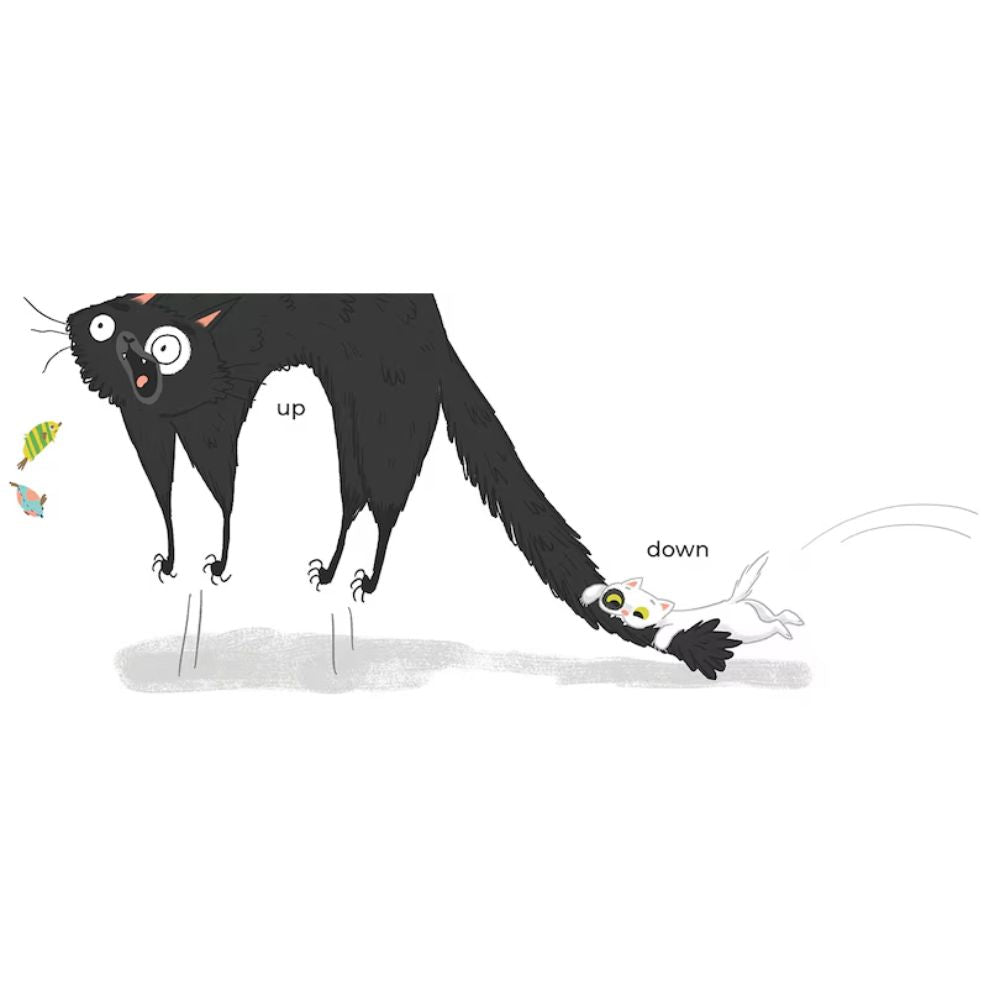 Kitty and Cat: Opposites Attract (Kitty & Cat) HC