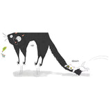 Kitty and Cat: Opposites Attract (Kitty & Cat) HC
