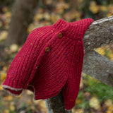1 + in the Family KELOWNA burgundy baby hooded cardigan in ribbed knit with a button front