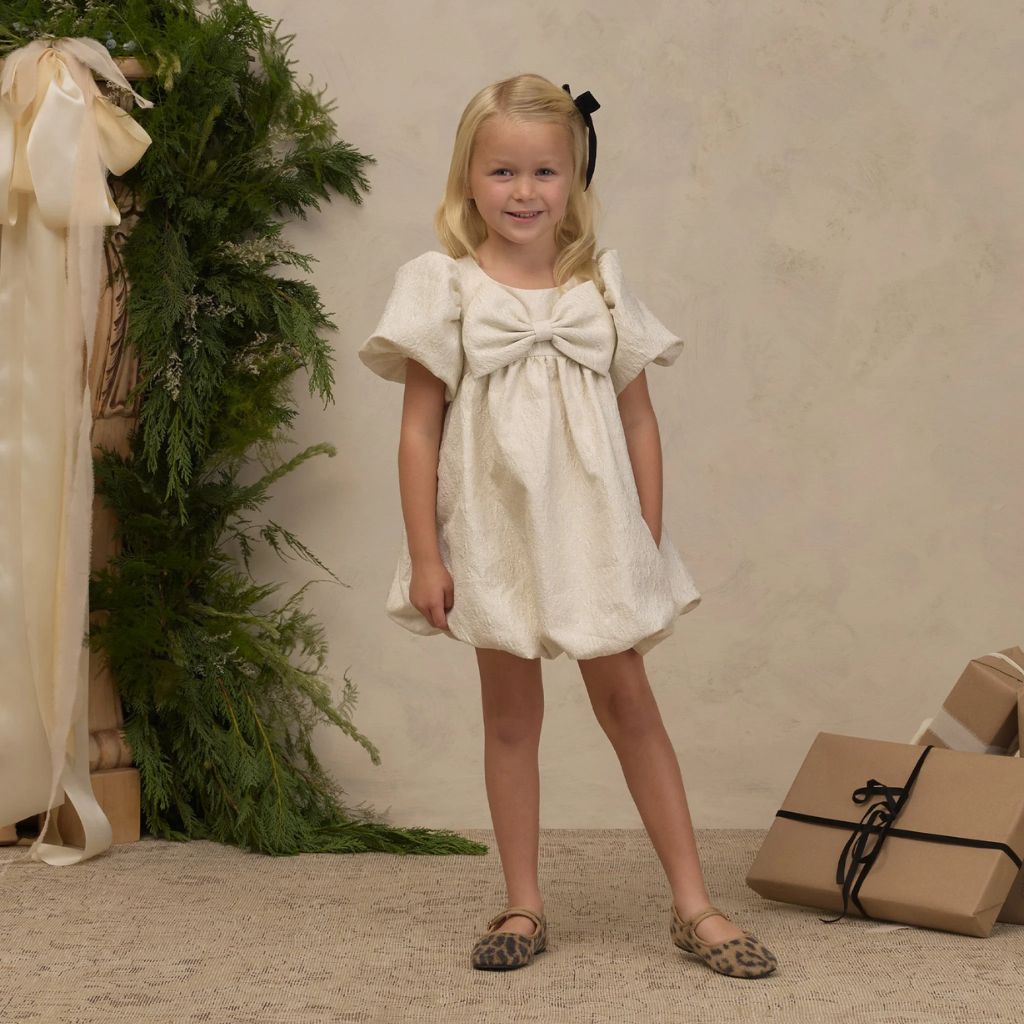 Noralee Bonnie Dress Jacquard