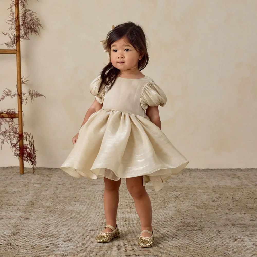 Noralee Sofia Dress E
