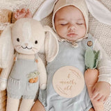 Cuddle and Kind Henry the Bunny
