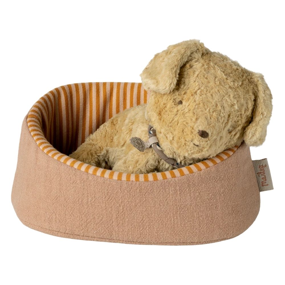 Teddy dog in a brown pet bed with orange stripes on a white background