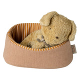 Teddy dog in a brown pet bed with orange stripes on a white background