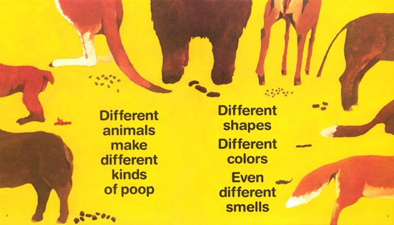 Everyone Poops by Taro Gomi