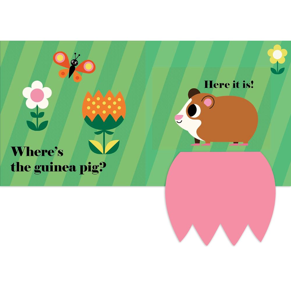 Where's the Cat? BB by Ingela P Arrhenius