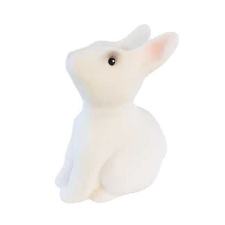 Money Bank Rabbit