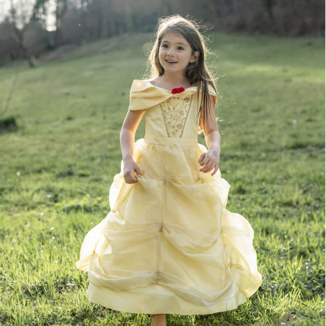 Once Upon a Princess Beauty Dress, 3-4