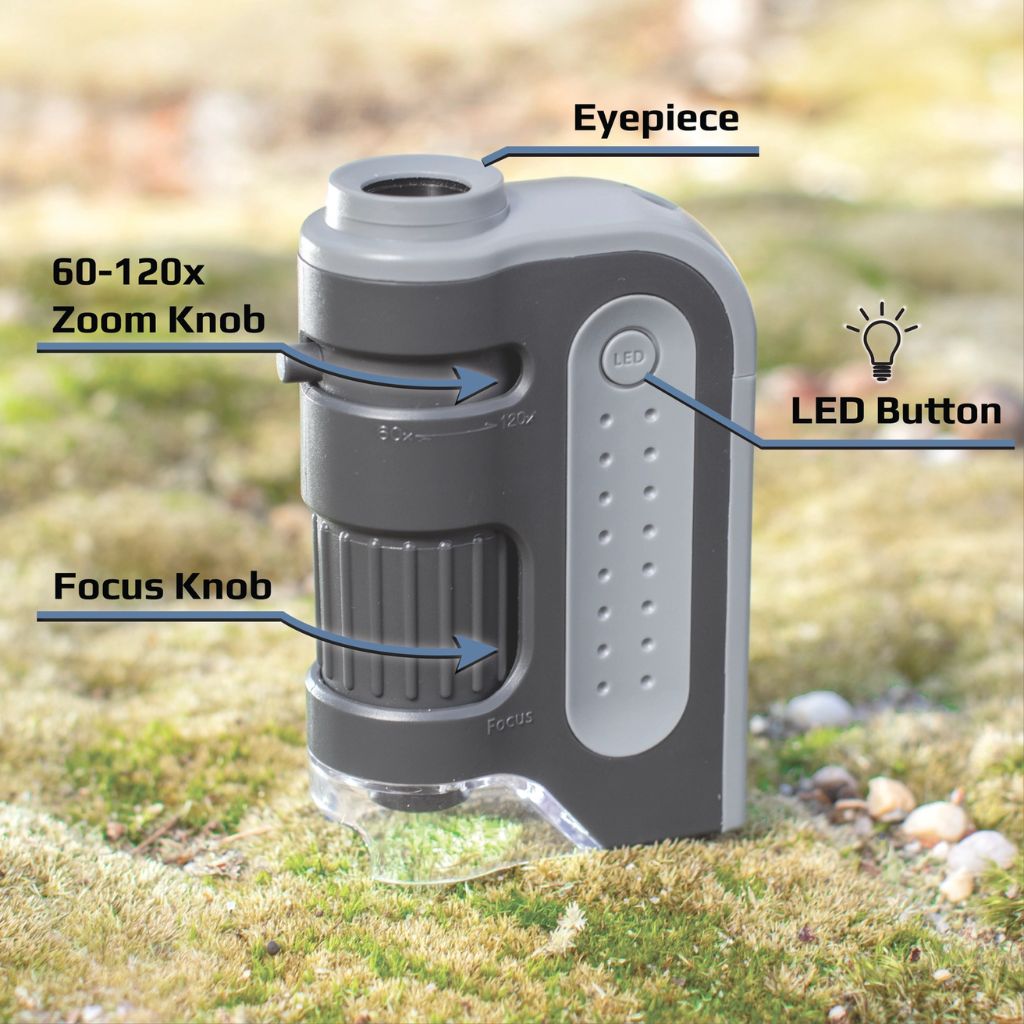 60x-120x Lighted Pocket Microscope, Portable