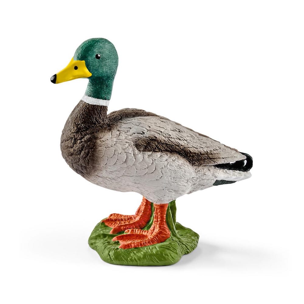 Schleich Drake R