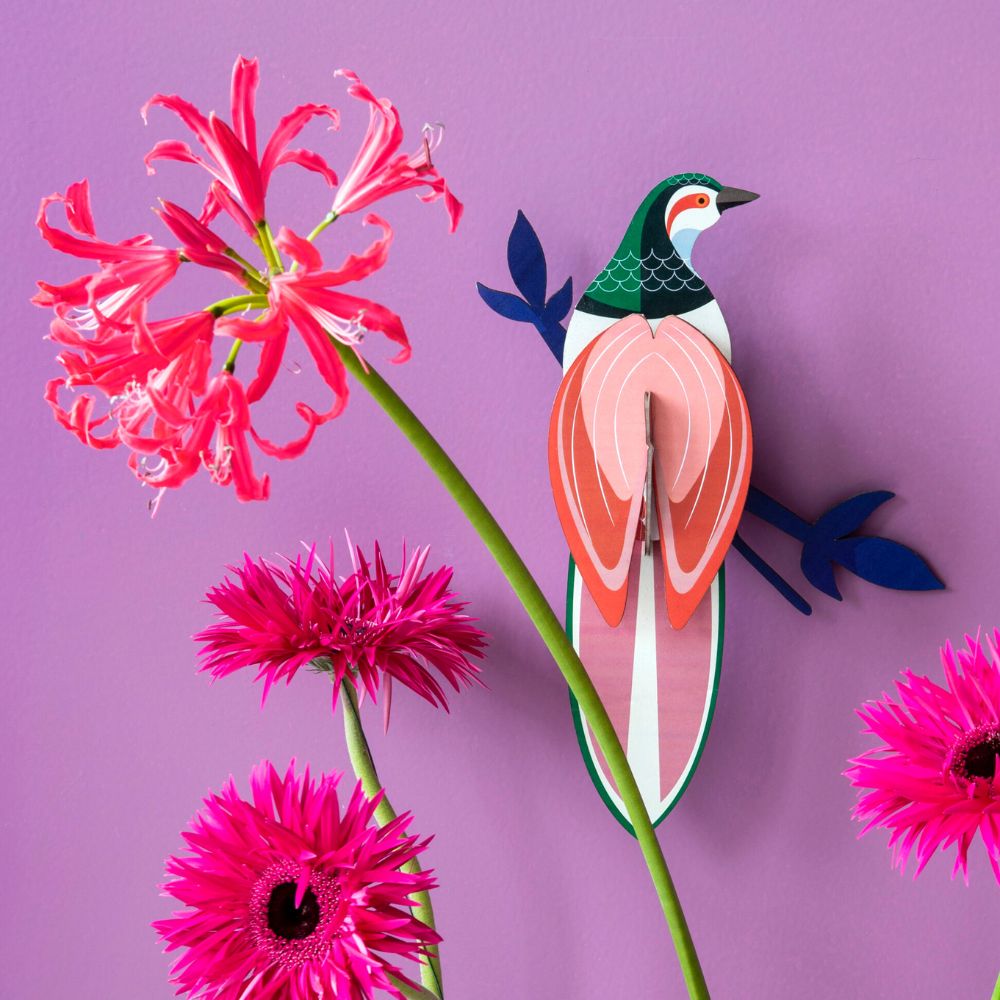 DIY 3D Wall Decoration Paradise Bird Rani