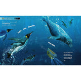 If You Went to the Bottom of the Ocean HC by Brooke McIntyre