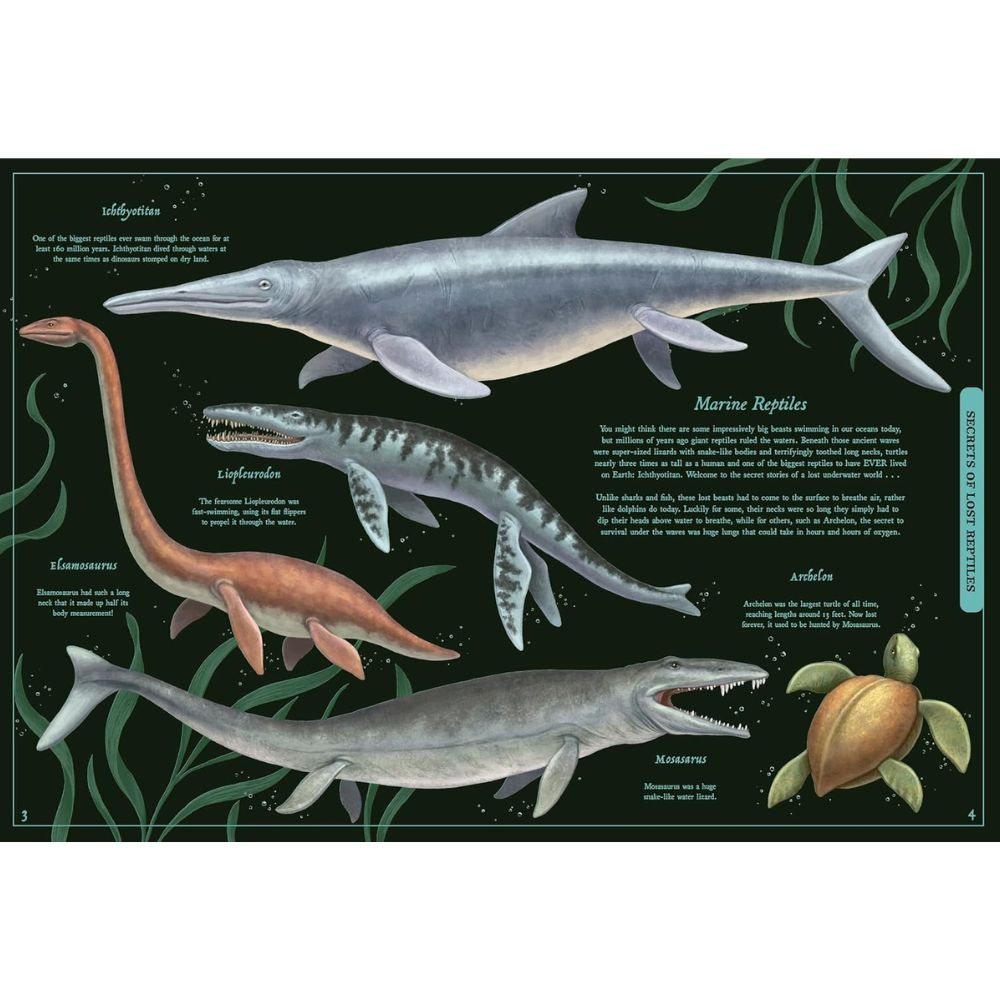 Secret Stories of Lost Beasts : A Field Guide to Uncover Earths Ancient Animals HC