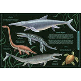 Secret Stories of Lost Beasts : A Field Guide to Uncover Earths Ancient Animals HC