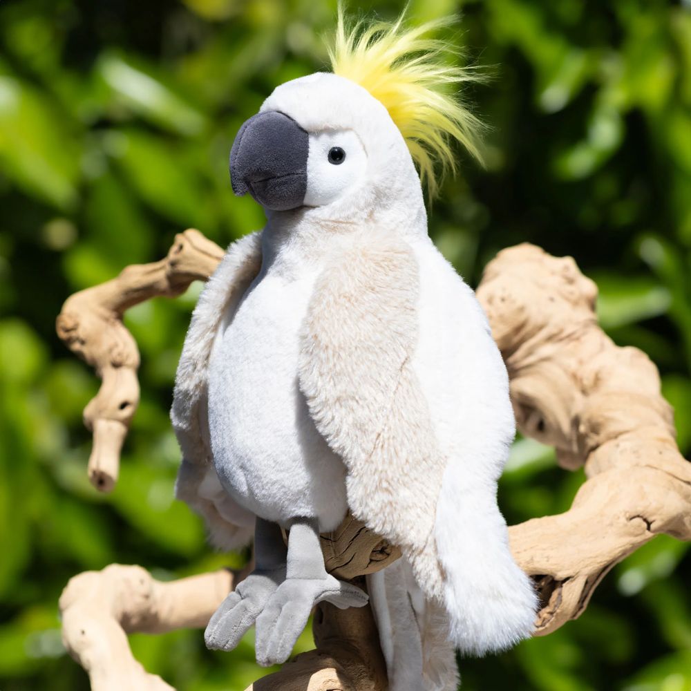 Bukowski Bears - Mango Parrot