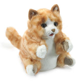 Hand Puppet- Orange Tabby Cat