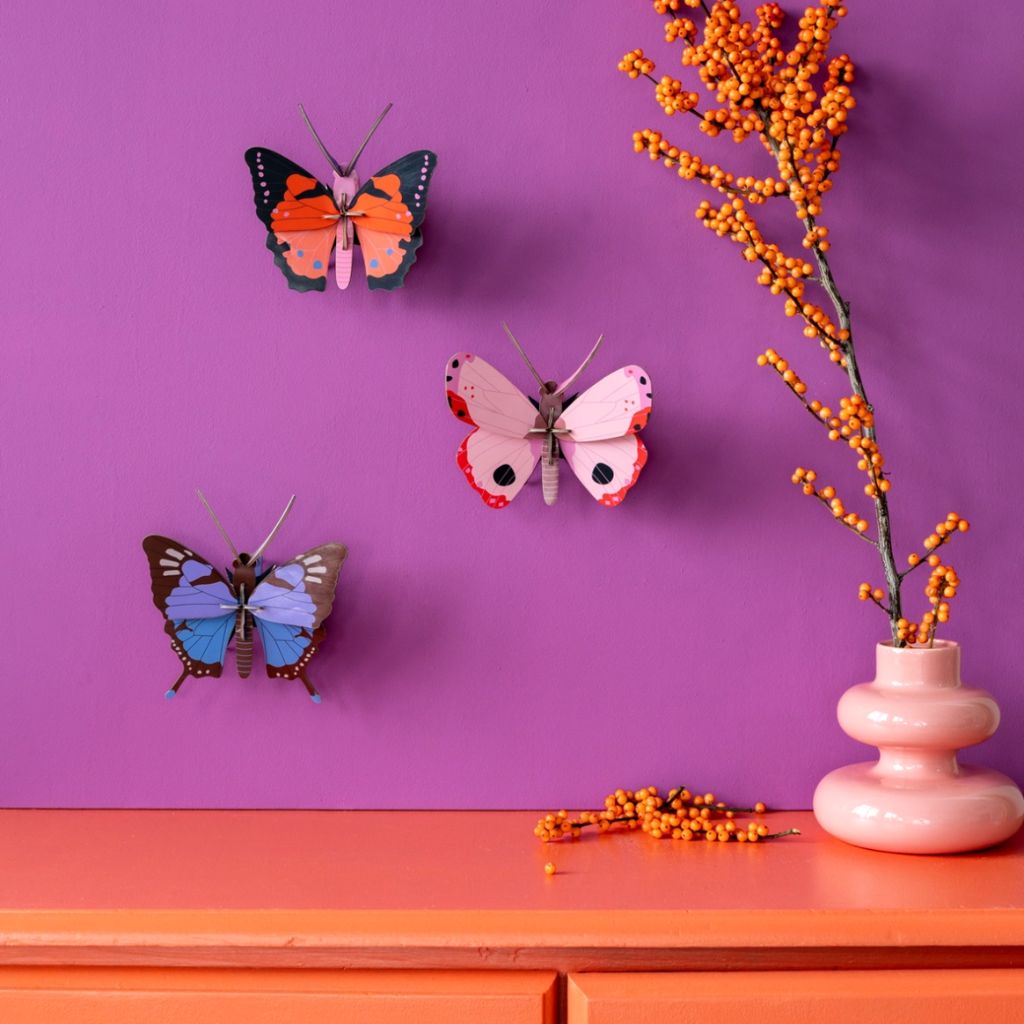 3D Wall Art - Butterfly - Rosora Butterfly