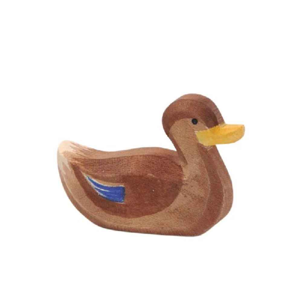 Ostheimer Duck Swimming