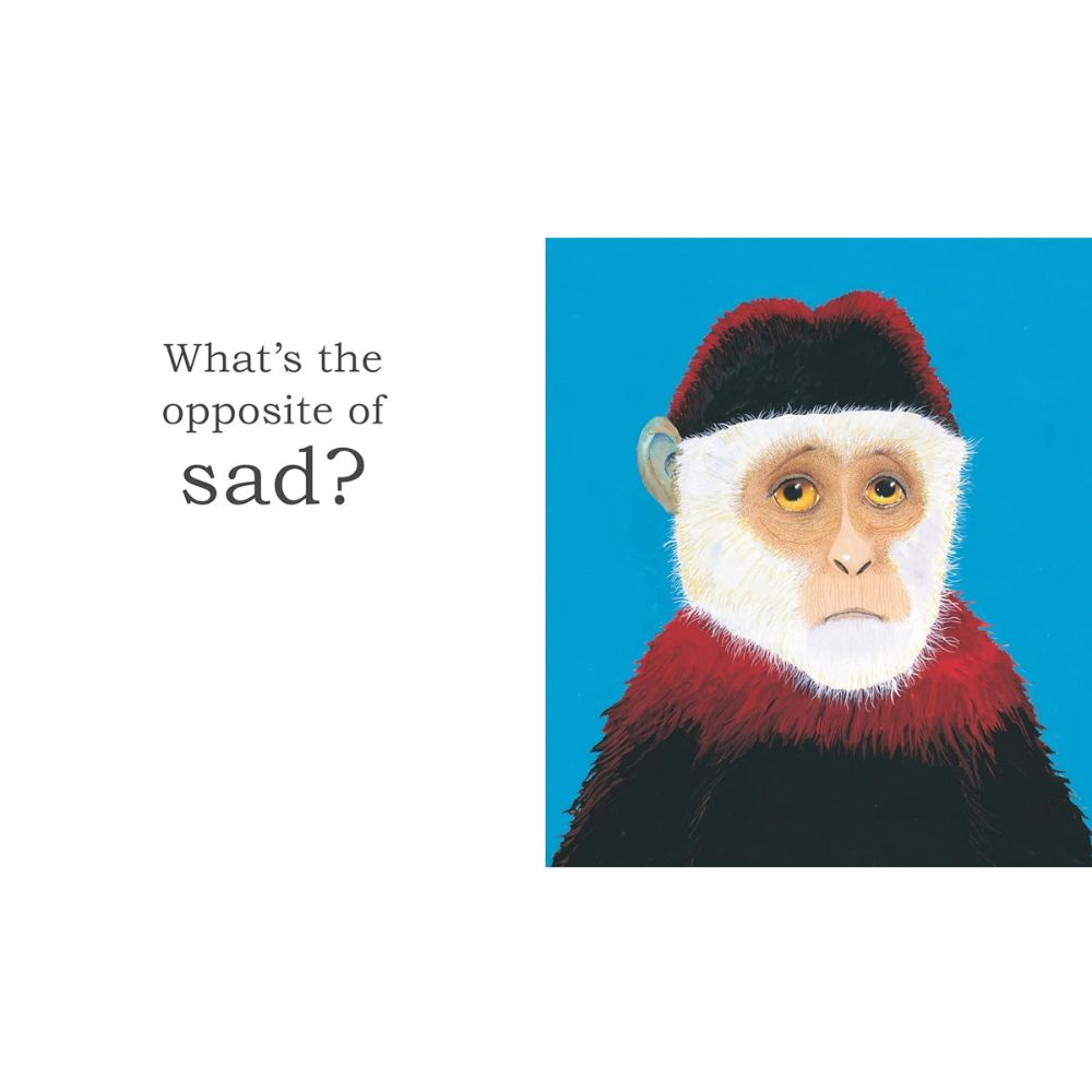 Big Gorilla: A Book of Opposites By (author): Anthony Browne